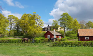 Strömsholms vackra omgivningar